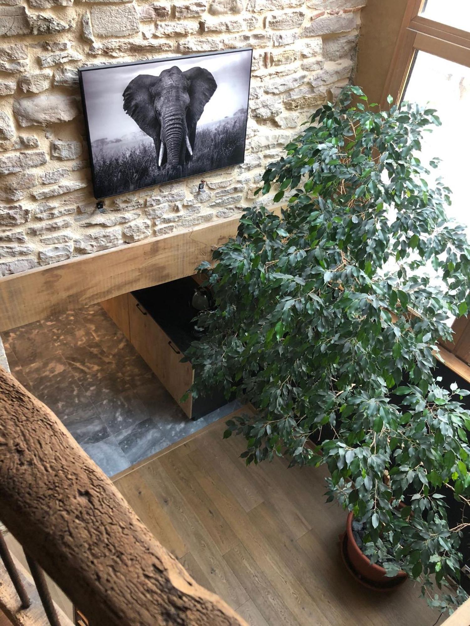 Maison Millot Beaune  Esterno foto